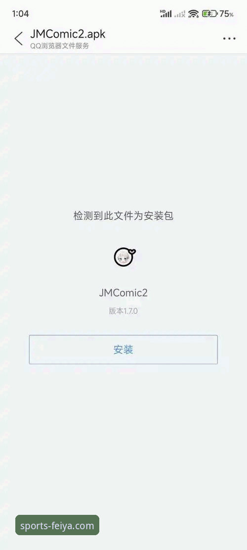 飞亚体育安装包 飞亚体育安装包如何成为用户获取流畅体验的关键入口?